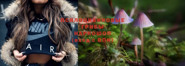соль курить ск Балабаново